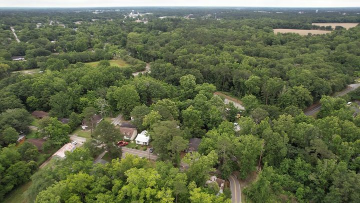 An aerial view of the tree line around Statesboro