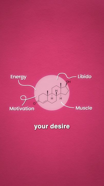 A pink hormone diagram labeled energy, libido, motivation and muscle